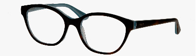 Vogue Frames